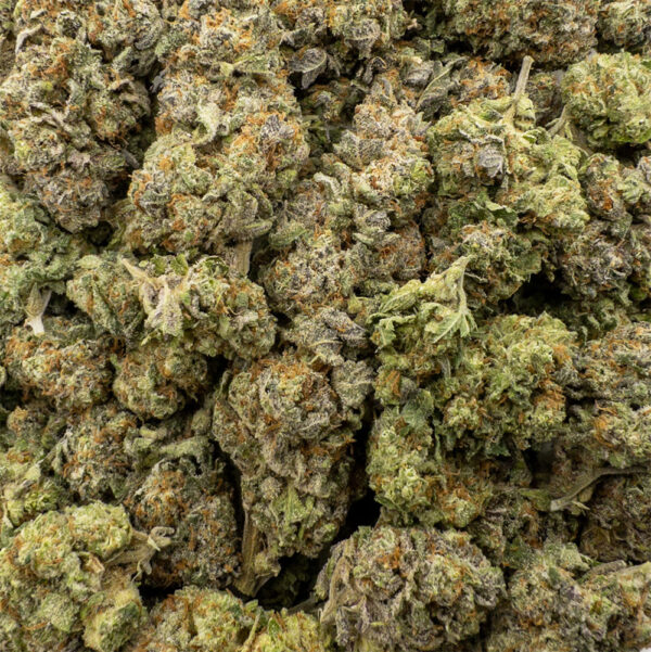 blackberry cheesecake z