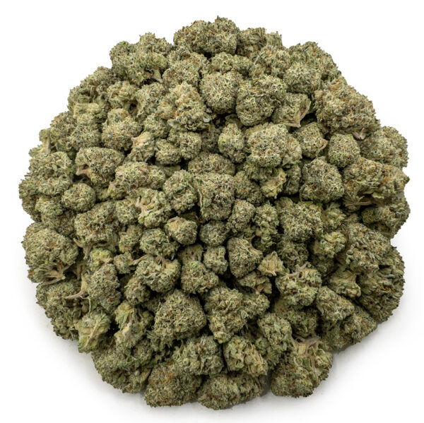 comatose og smalls ws