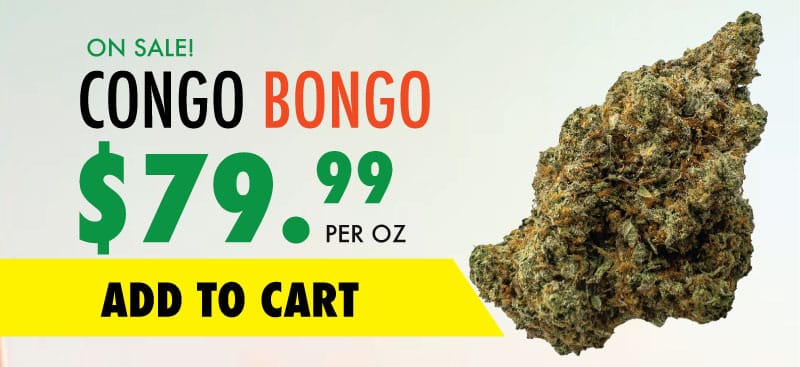 congo bongo sale
