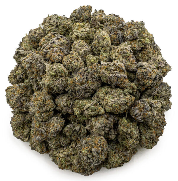 grand daddy purple ws