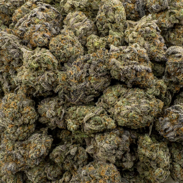 grand daddy purple z