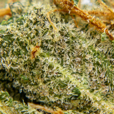 lemon sour diesel m