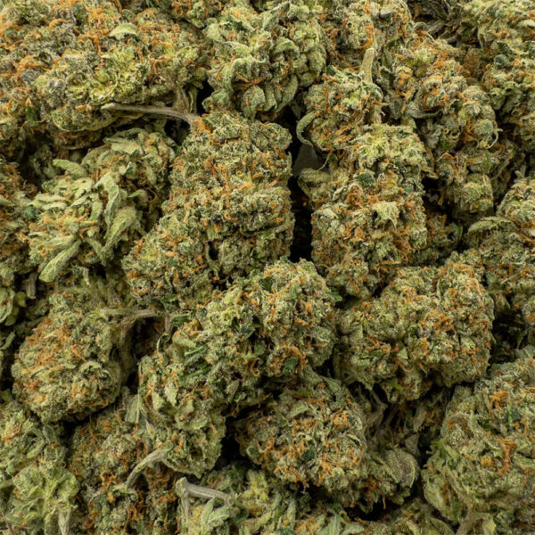 lemon sour diesel z