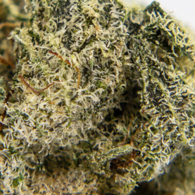 master skunk popcorn m