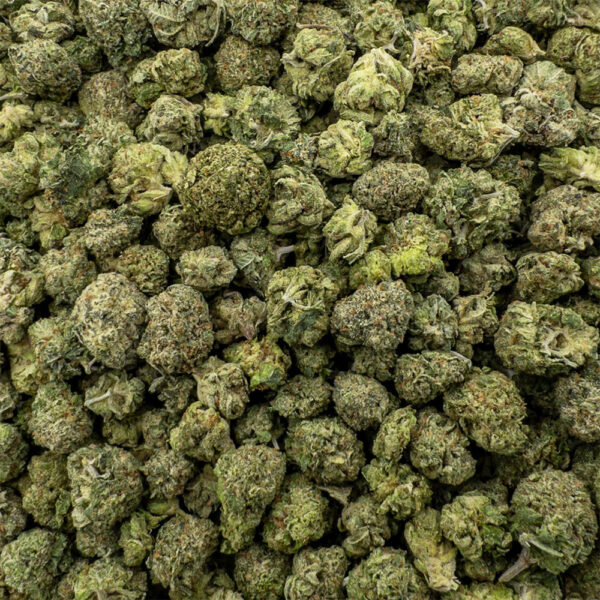 master skunk popcorn z