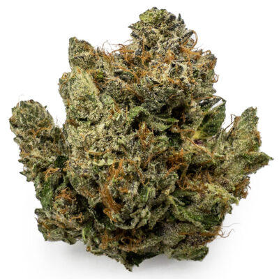 purple barney rockstar