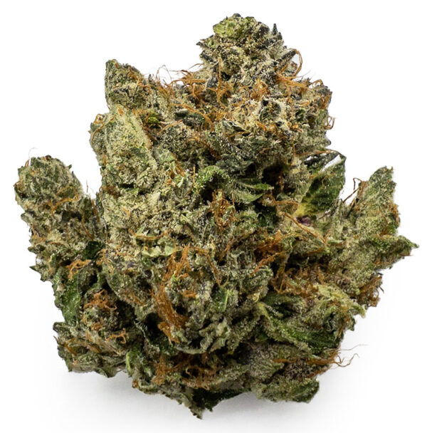 purple barney rockstar