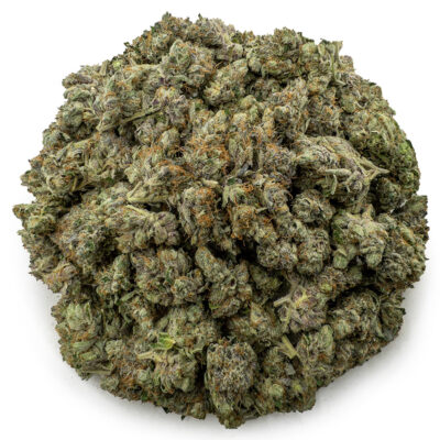 purple barney rockstar ws