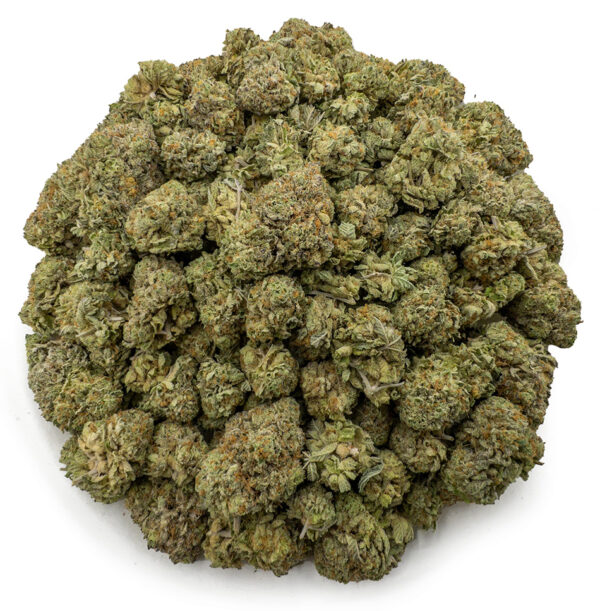watermelon kush ws