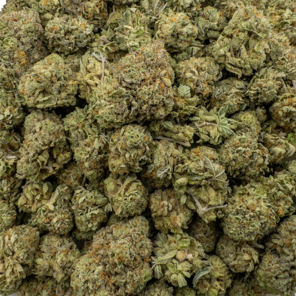 watermelon kush z