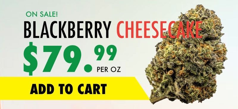 blackberry cheesecake sale