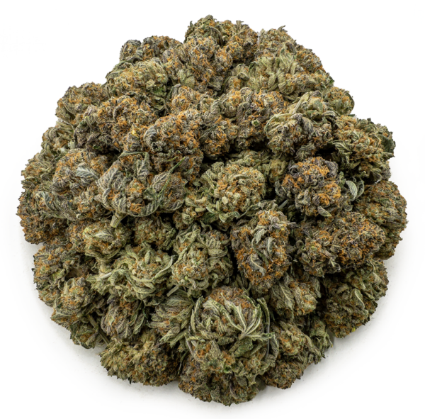 butter cookies ws