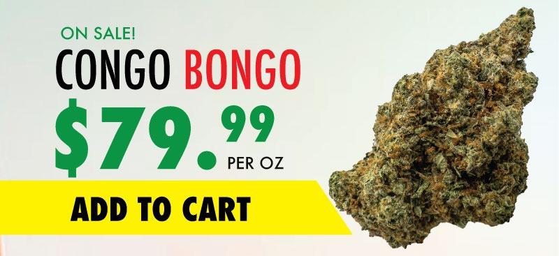 congo bongo sale