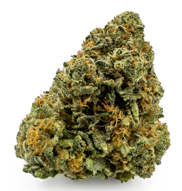 forbidden fruit