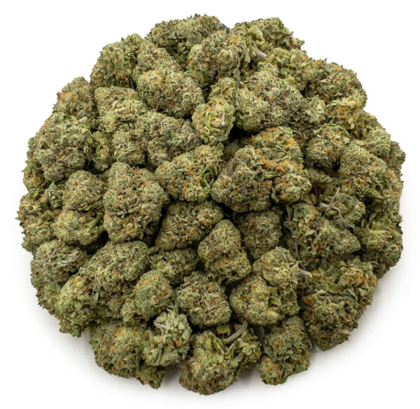 forbidden fruit ws