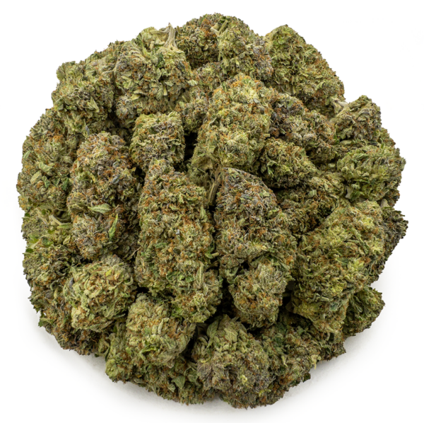 gas face ws