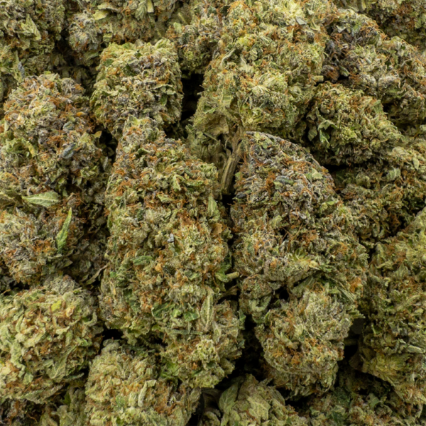 gas face z