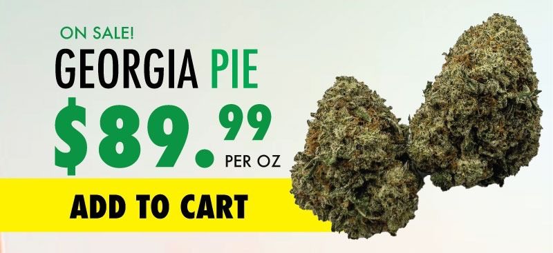 georgia pie sale