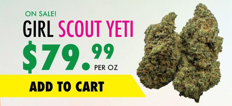 girl scout yeti sale