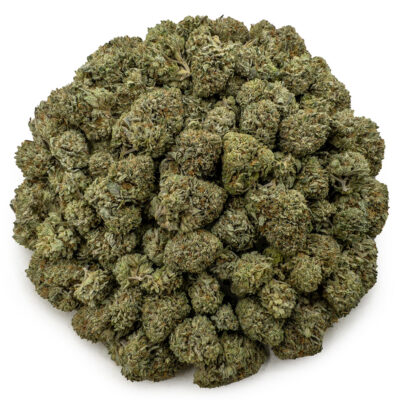 glueberry og ws