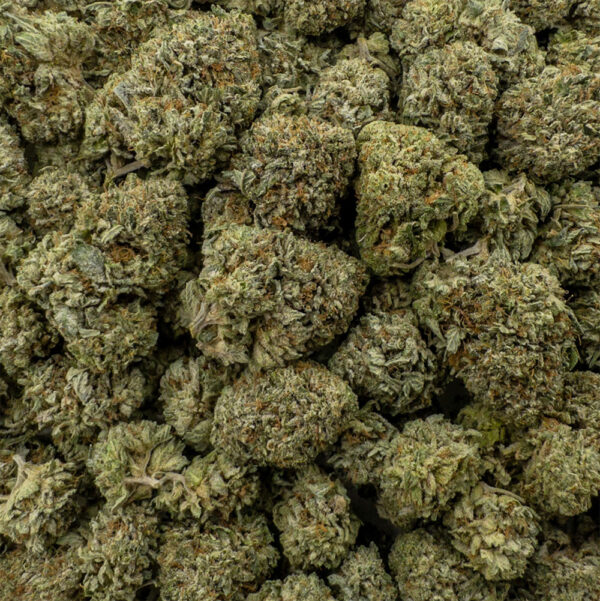 glueberry og z