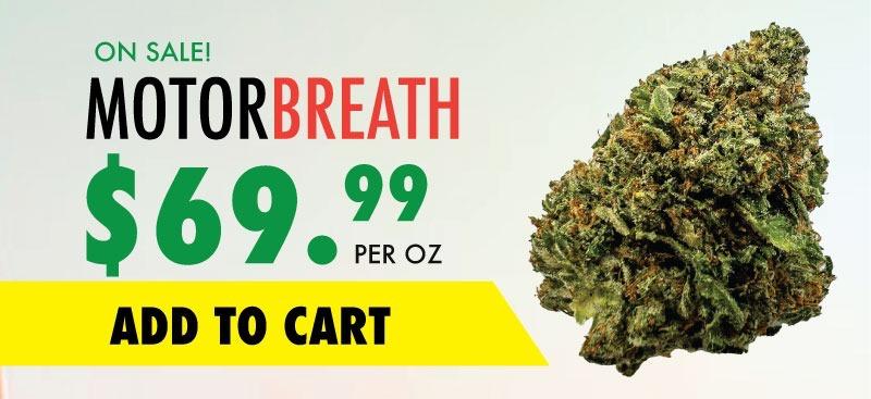 motorbreath sale