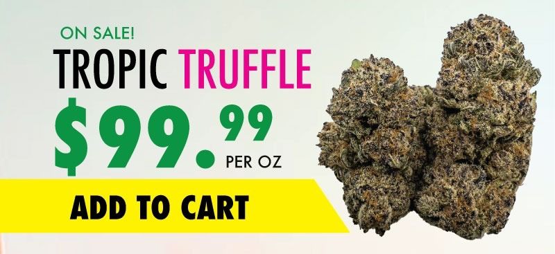 tropic truffle sale
