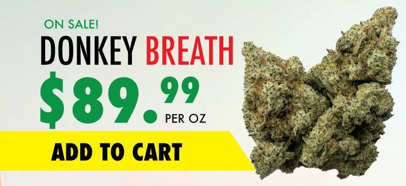 donkey breath sale