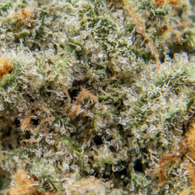 ghost og m