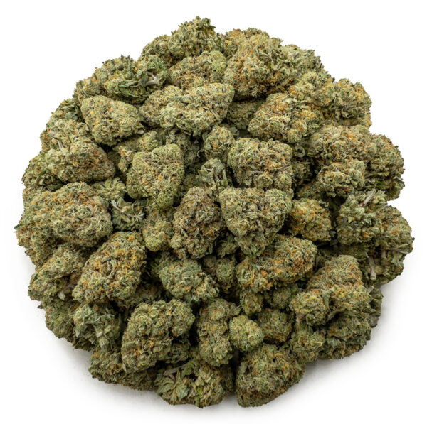 ghost og ws