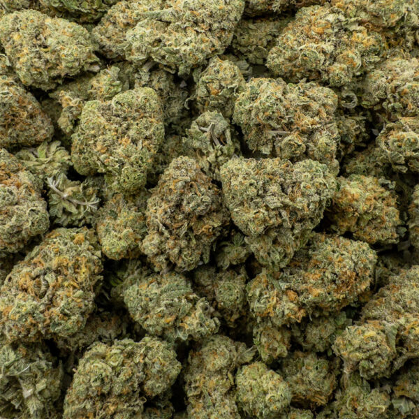 ghost og z