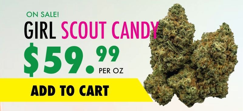 girl scout candy sale