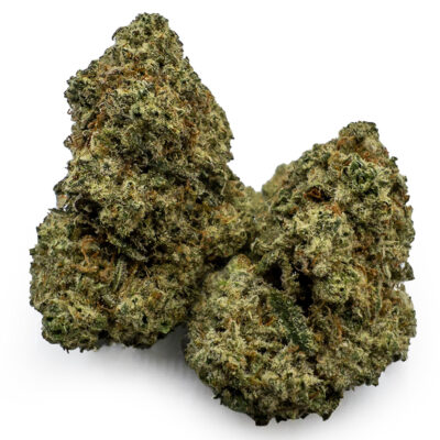 grease monkey