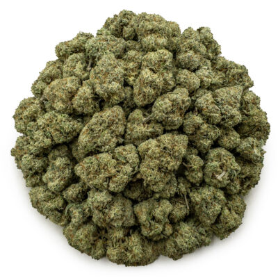 grease monkey ws