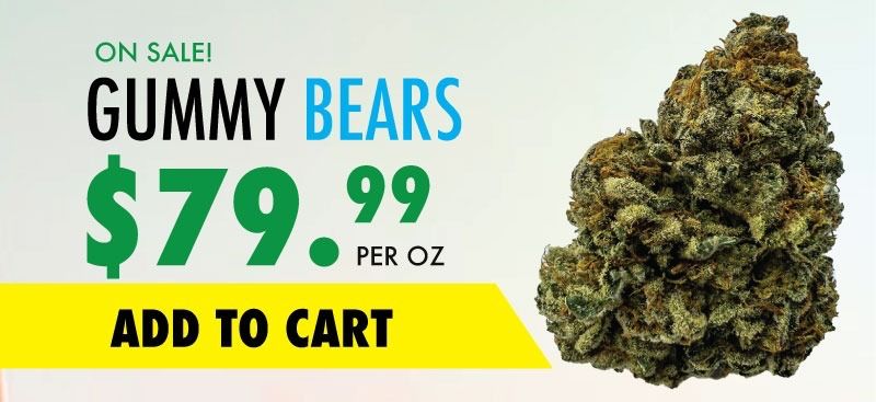 gummy bears sale