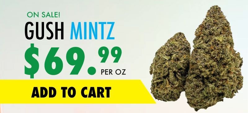 gush mintz sale