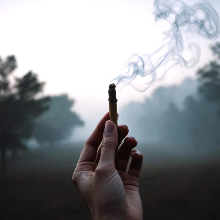 joint