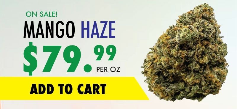 mango haze sale