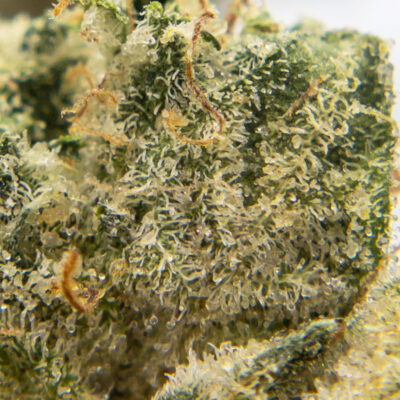 mary og m