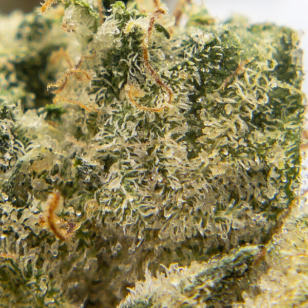 mary og m