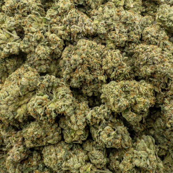 mary og z