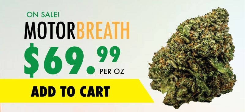 motorbreath sale