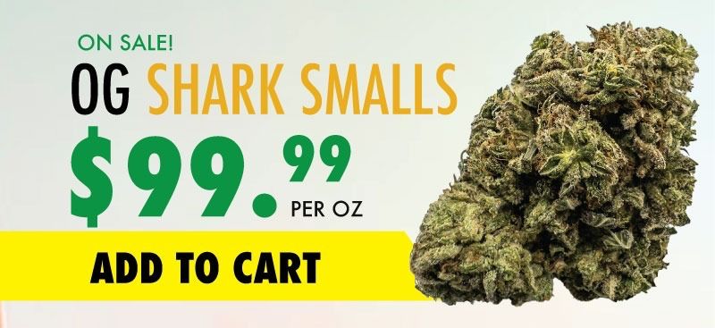 og shark smalls sale