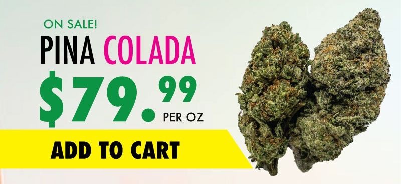 pina colada sale