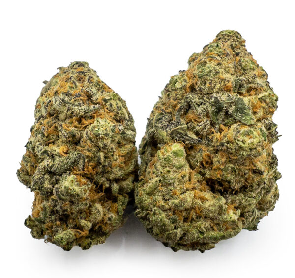 platinum gsc