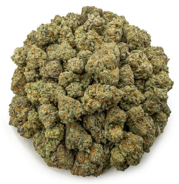 platinum gsc ws