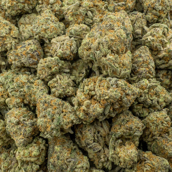 platinum gsc z