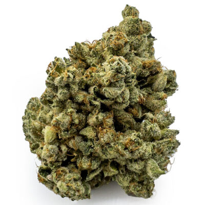 west coast diesel
