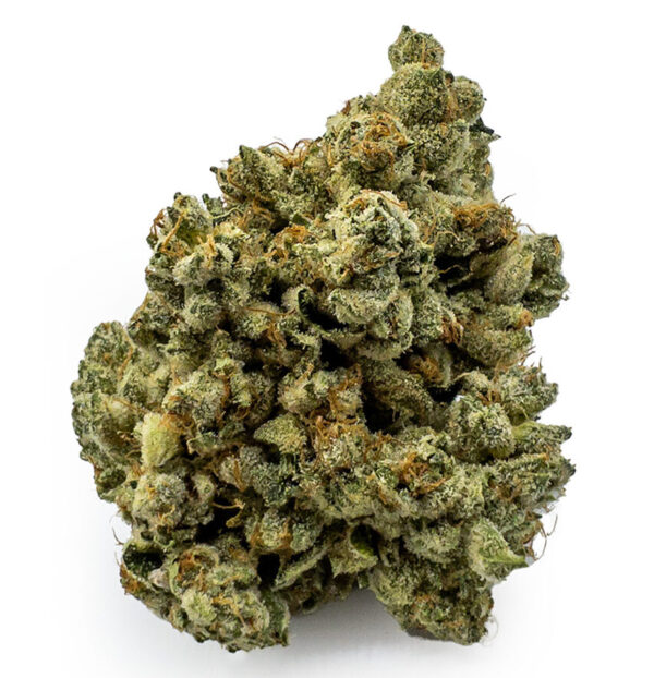 west coast diesel