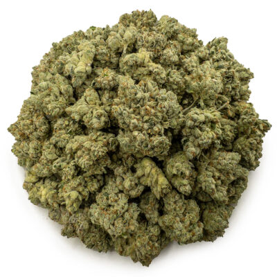 west coast diesel ws